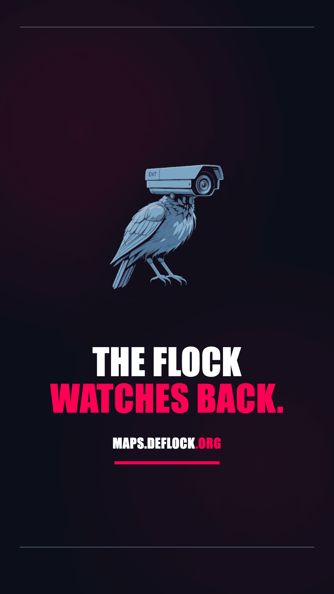 Flag The Flock Watches Back 916